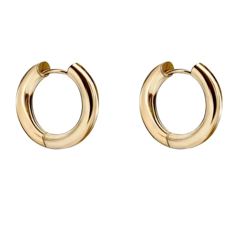 Horse Year Hoop Earrings