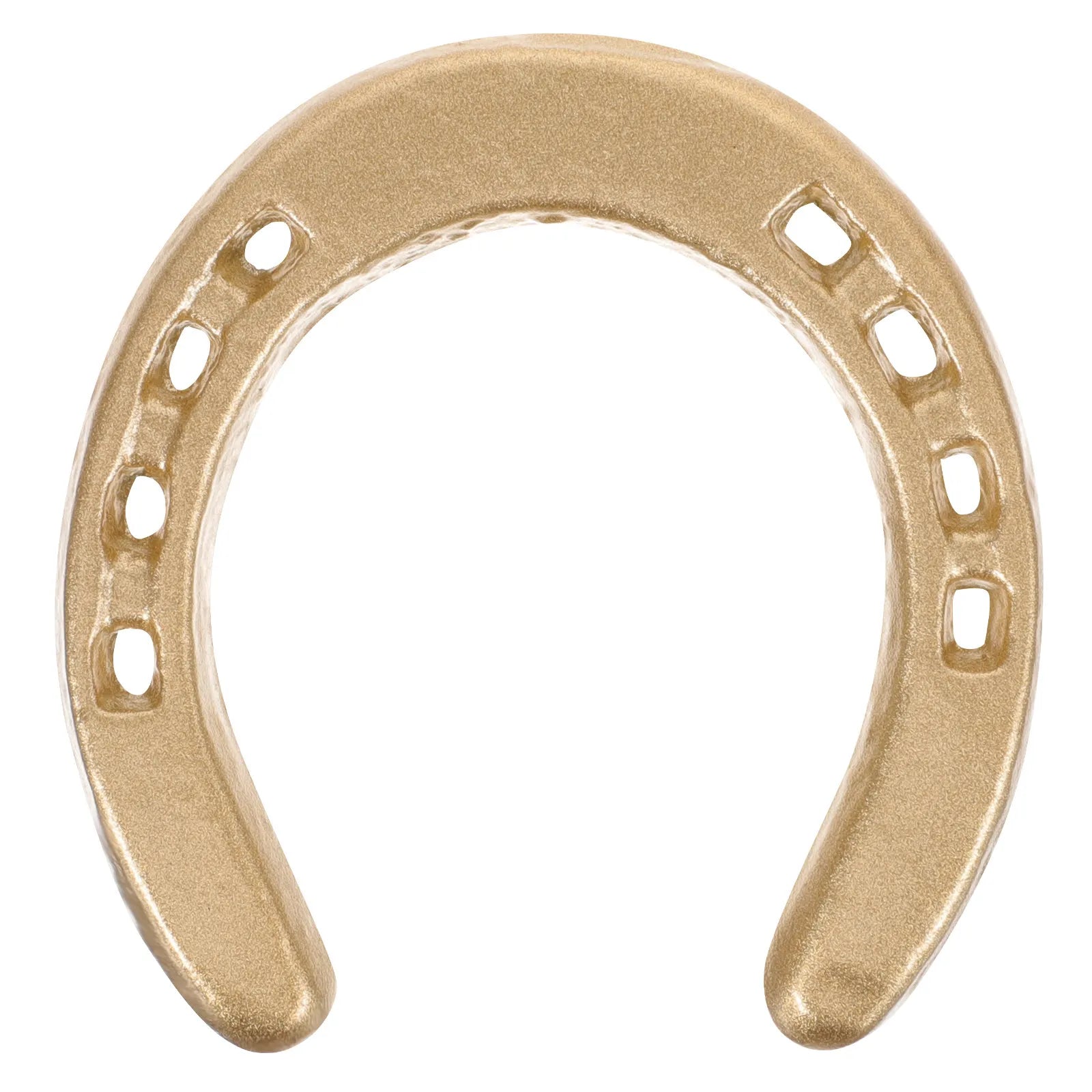 Cast Iron Horseshoe