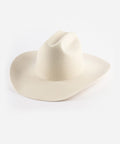 The Cowboy Hat